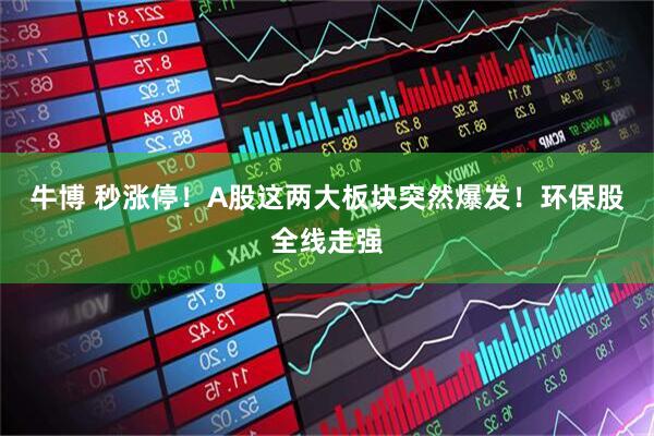 牛博 秒涨停！A股这两大板块突然爆发！环保股全线走强