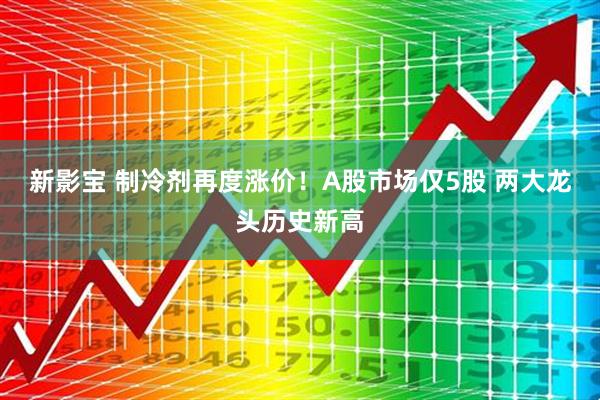 新影宝 制冷剂再度涨价！A股市场仅5股 两大龙头历史新高