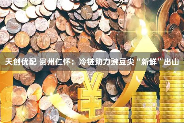 天创优配 贵州仁怀：冷链助力豌豆尖“新鲜”出山