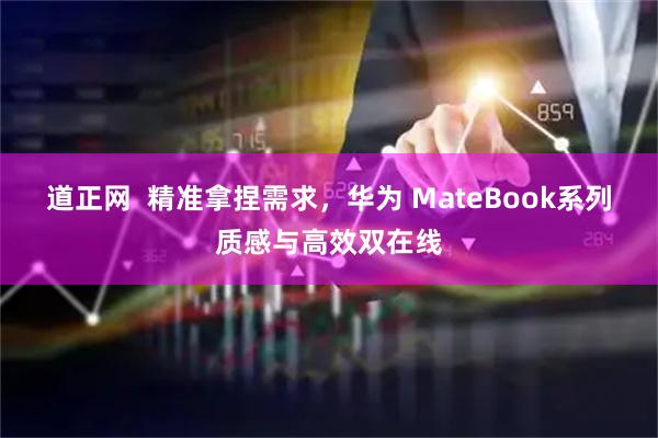 道正网  精准拿捏需求，华为 MateBook系列质感与高效双在线