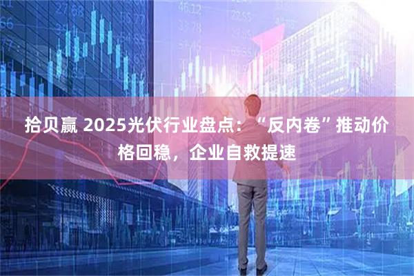拾贝赢 2025光伏行业盘点:“反内卷”推动价格回稳,企业自救提速