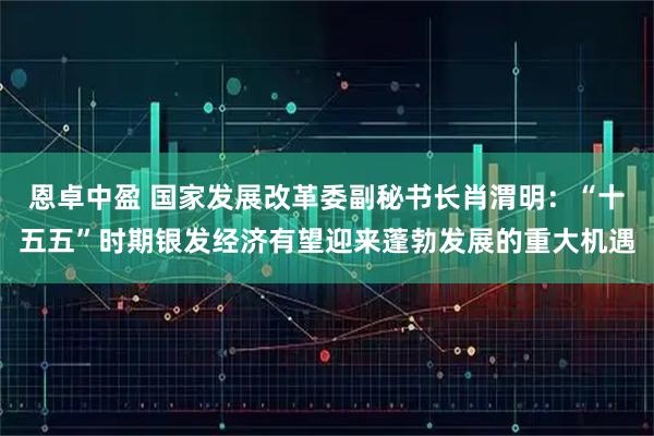 恩卓中盈 国家发展改革委副秘书长肖渭明:“十五五”时期银发经济有望迎来蓬勃发展的重大机遇
